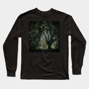 'Veneration', a notable beech tree, Highland Perthshire. Long Sleeve T-Shirt
